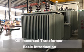 Oil Immersed Transformer Basic Introduction