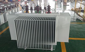 Maintenance of Distribution Transformers